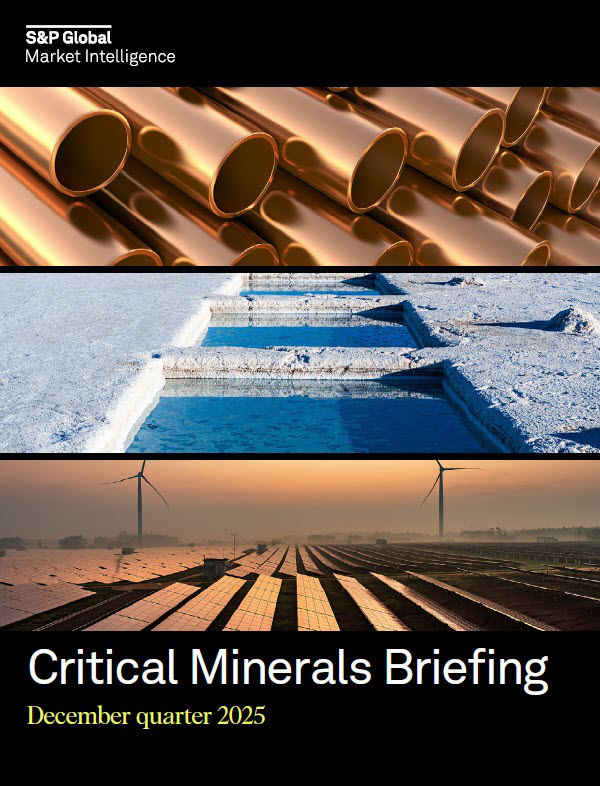 Critical Minerals Briefing PDF front page