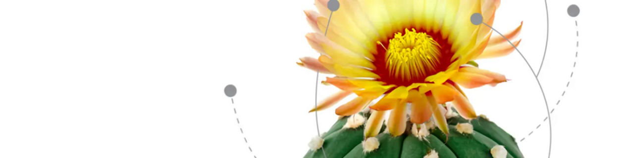 The Resilience Imperative