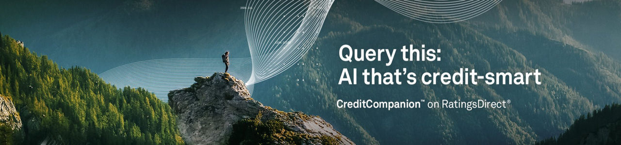 RatingsDirect®