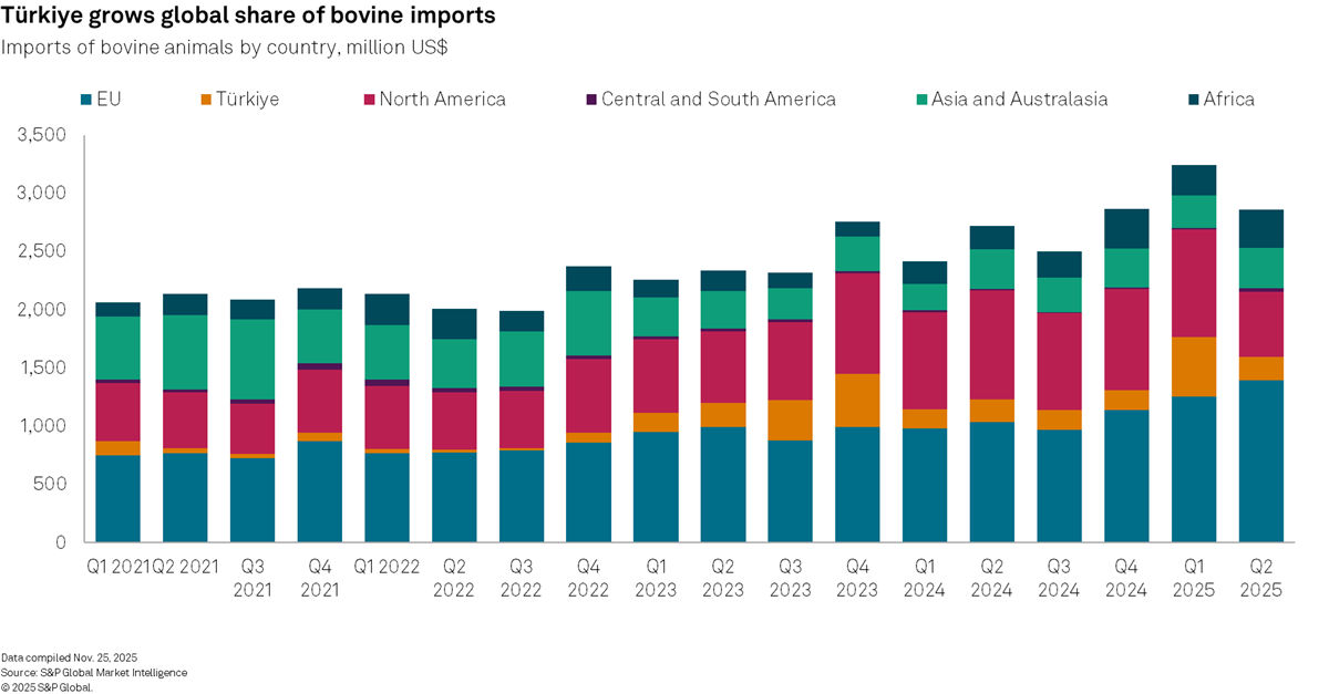 Turkiye Grows Global Share of Bovine Imports