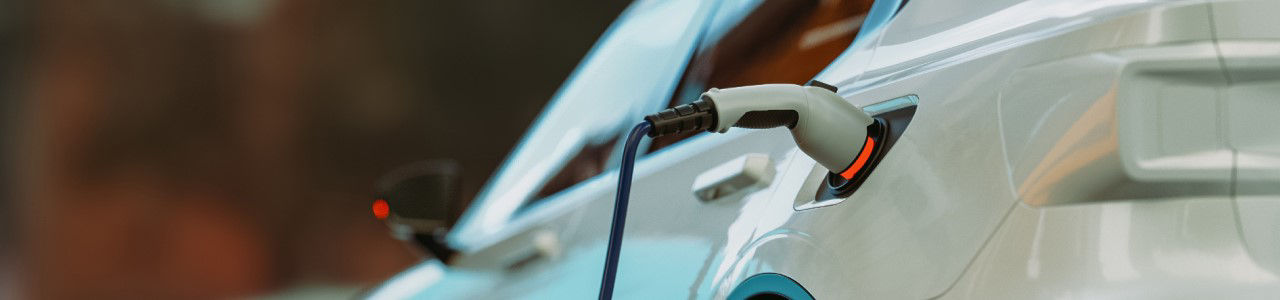 Turkish electric car market