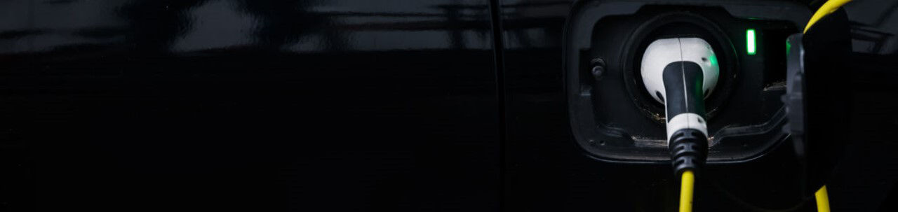 Banner-image