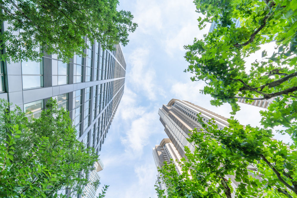 How do banks that commit to Principles for Responsible Banking measure up on sustainability KPIs?