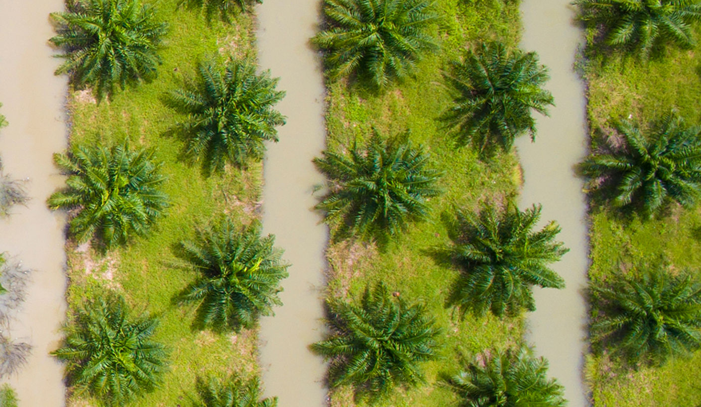 Brewing risks: Cocoa and coffee supply chains face escalating climate pressures