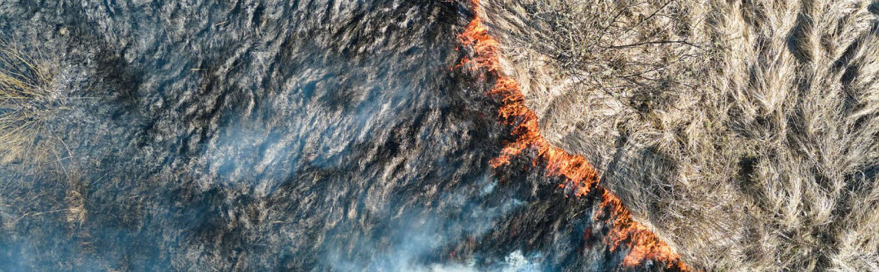 How climate change complicates Brazil's efforts to address deforestation