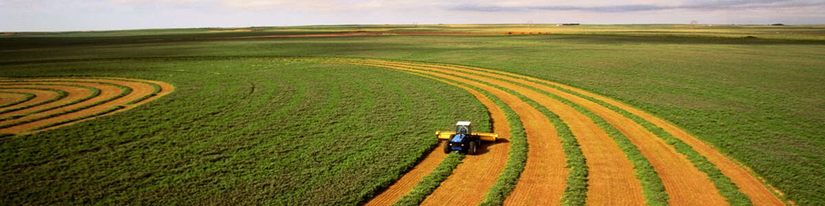 Climate Physical Risk in Sugar Supply Chain Case Study