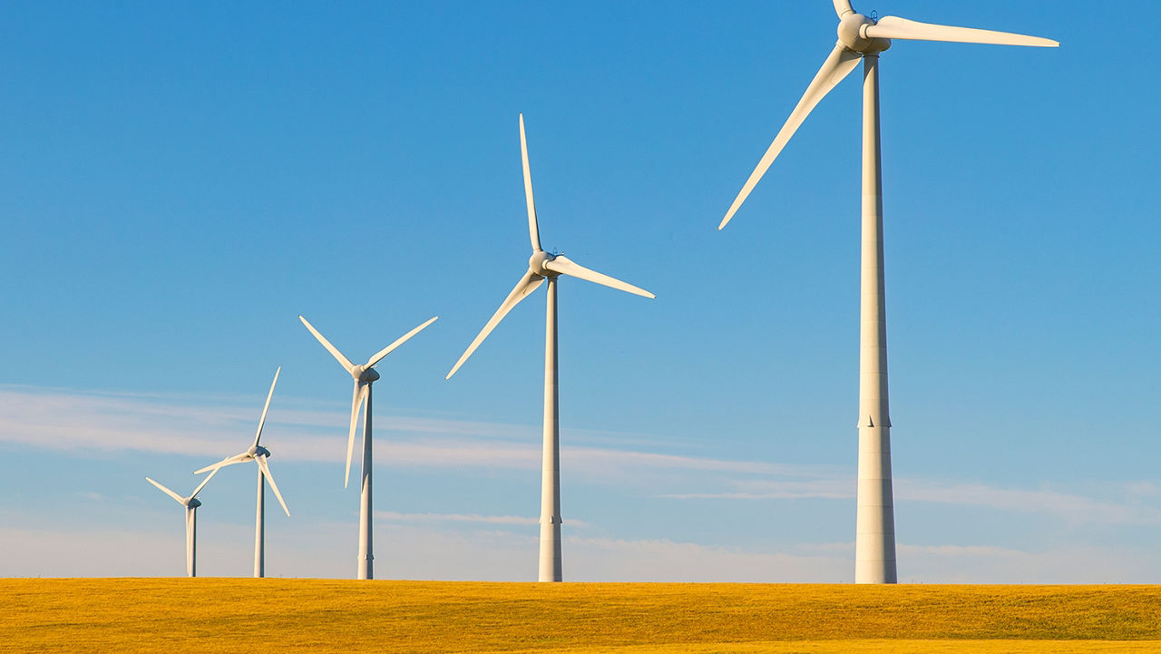 A row of wind turbines stretches across a field, each turbine appearing smaller as they extend into the distance, creating a perspective effect. The field is covered with yellow vegetation, and the clear blue sky suggests a sunny day. The scene emphasizes themes of renewable energy and environmental sustainability.