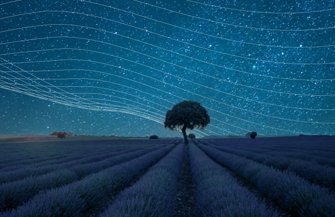 AI for Partners & Developers