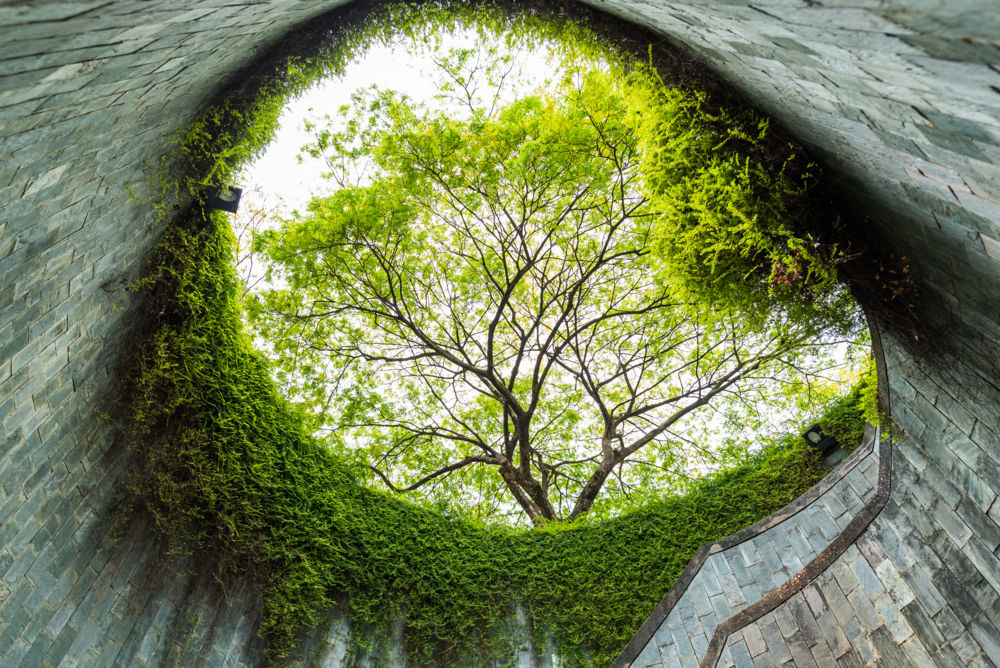 sustainability