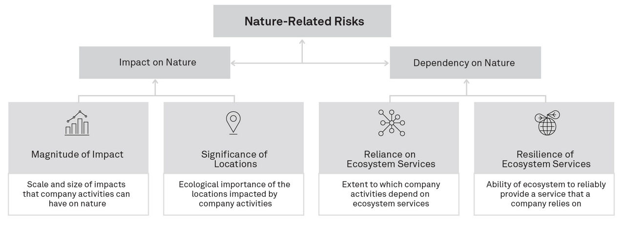 UNEP’s Nature Risk Profile-lg