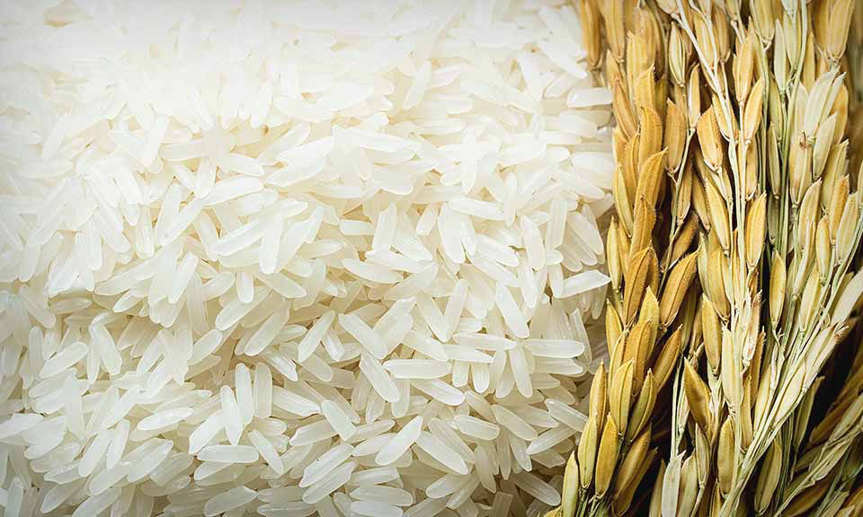 Platts Rice | S&P Global
