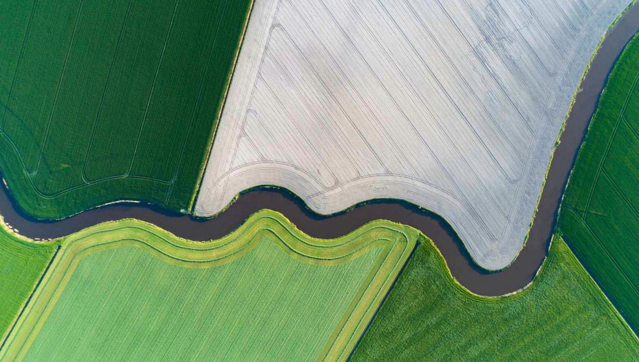 agriculture