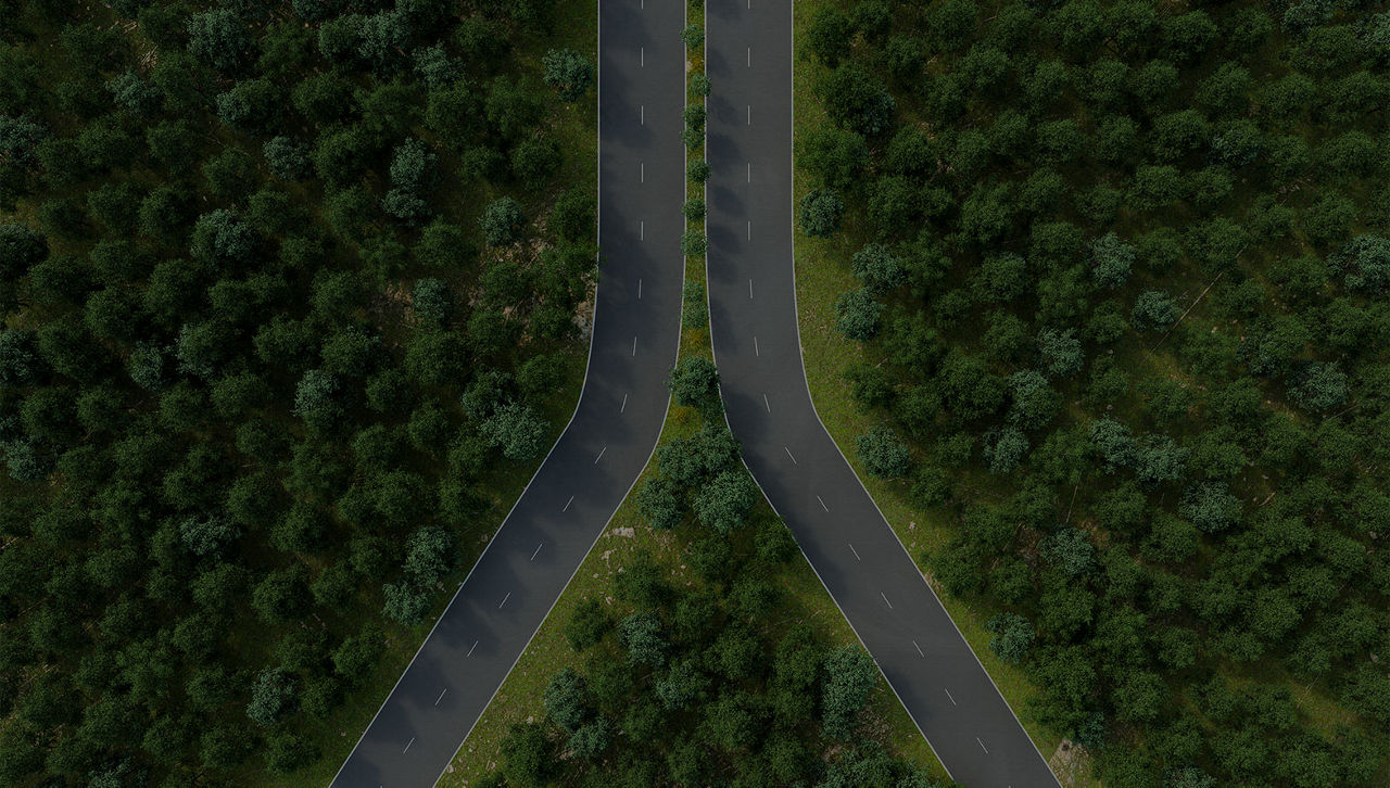A tale of two carbon markets
