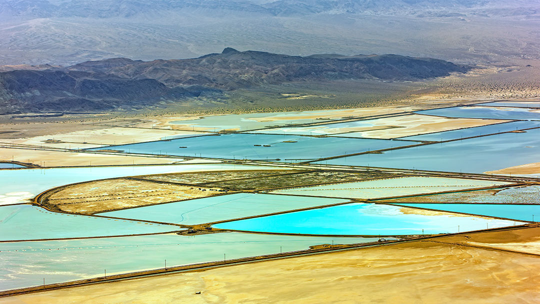 Key trends and obstacles in global protein markets
