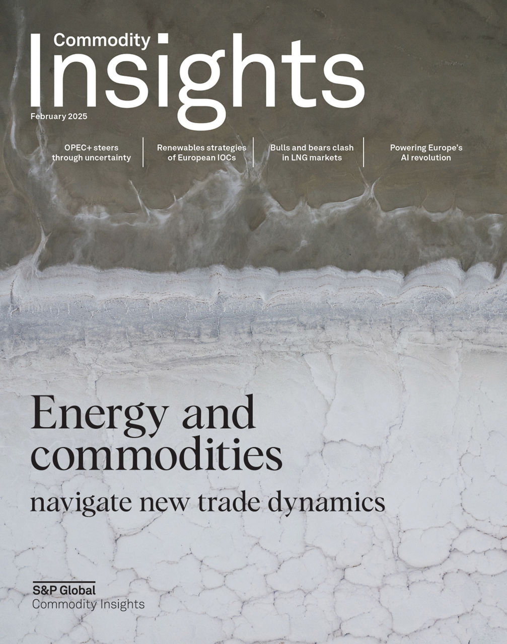 Energy and commodities navigate new trade dynamics