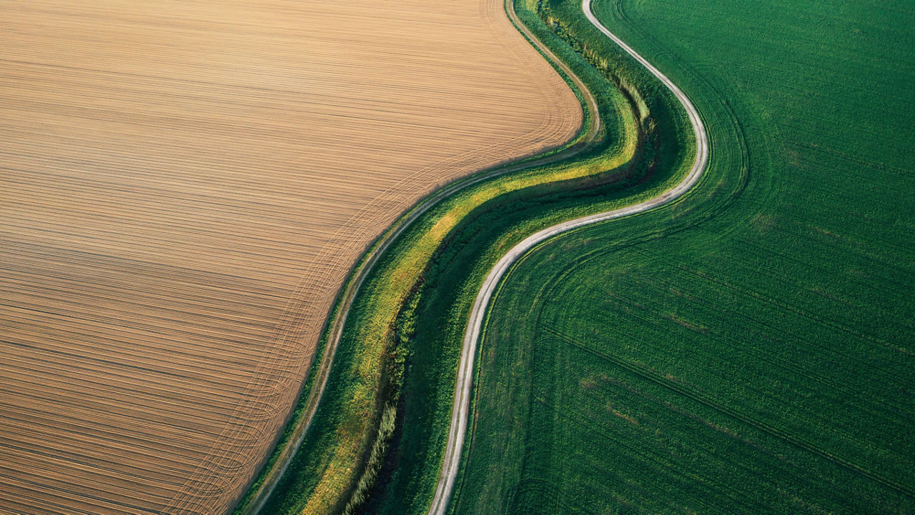 Key trends and obstacles in global protein markets