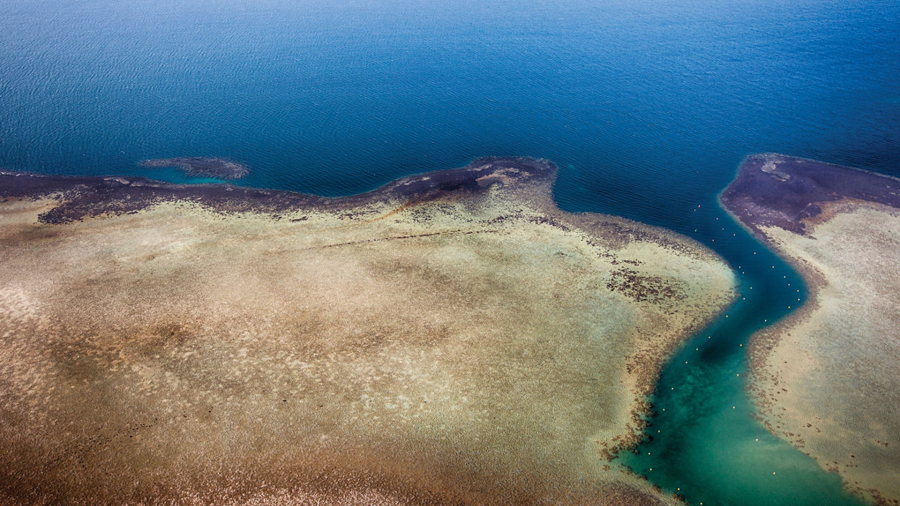 The Red Sea's long shadow