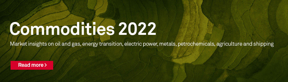 Explore this topic: Commodities 2022