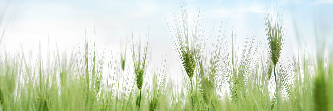 agribusinessfeatured