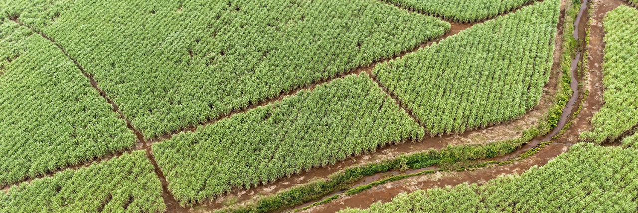 Reinforcing private capital mobilization in Africa through blended finance