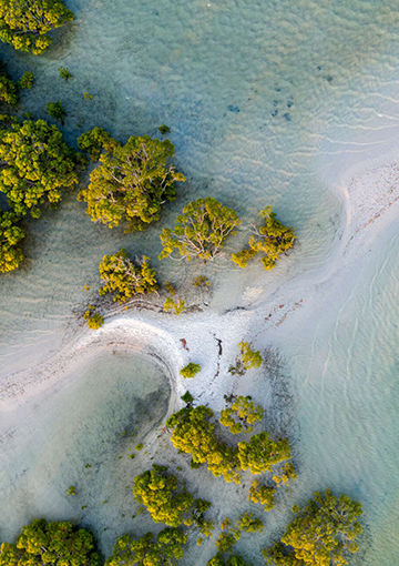 Corporate support for nature-based solutions has room to grow