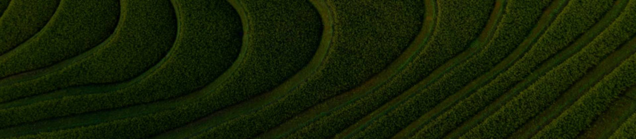 Director's Masterclass Series: A Deep Dive into Operationalizing Nature Risk Assessments