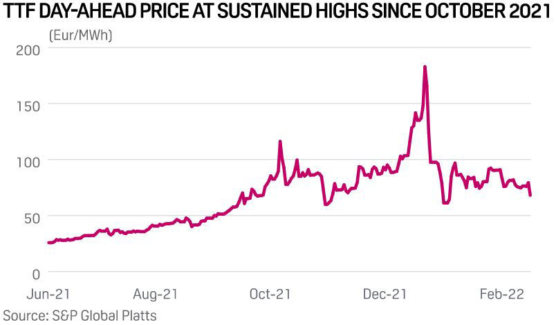 Platts: TTF day-ahead price