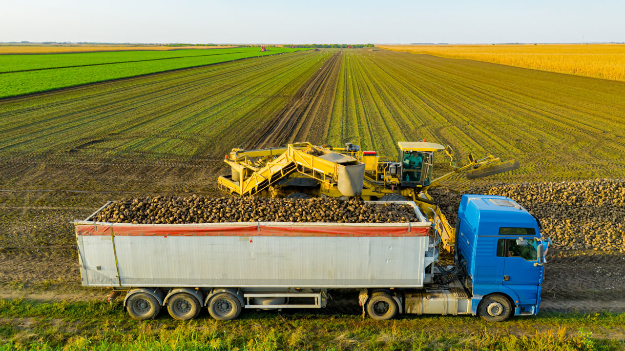 Energy disruption and El Niño: Leading to a global food crisis?