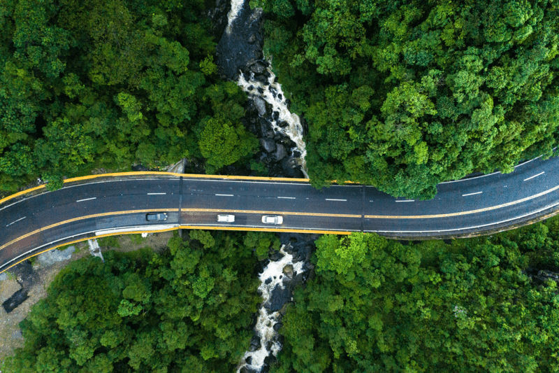Financed emissions are missing from many firms’ net zero plans