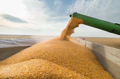 grain-trade-outlook