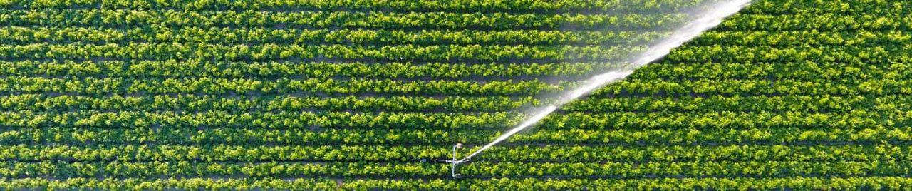 Agriculture & Food Consulting