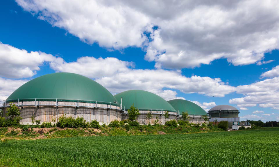 Biofuels Value Chain Service banner