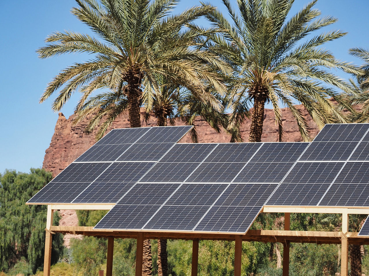 The future of renewable energy in Saudi Arabia 
