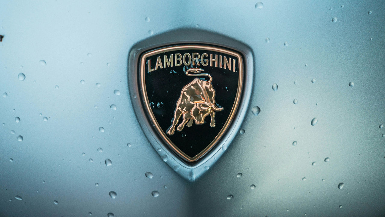 Lamborghini luxury car logo ornament
