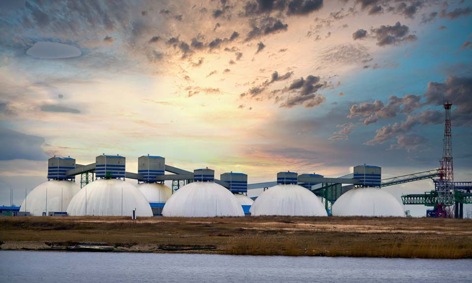 Net Zero
