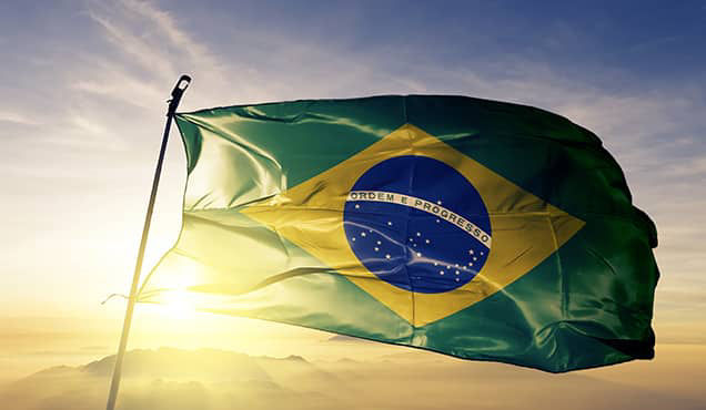 Brazillian Flag