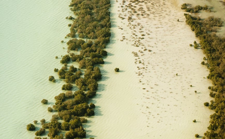 British_vergin_island
