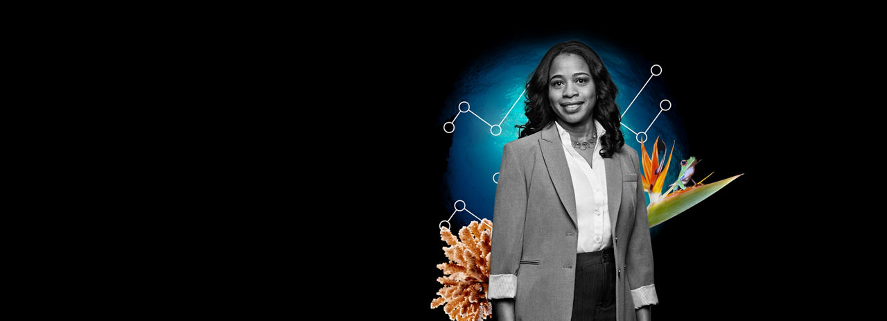 Essential sustainability questions, answered.