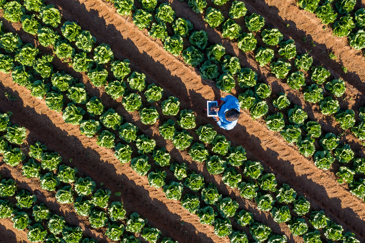 Biofuels 