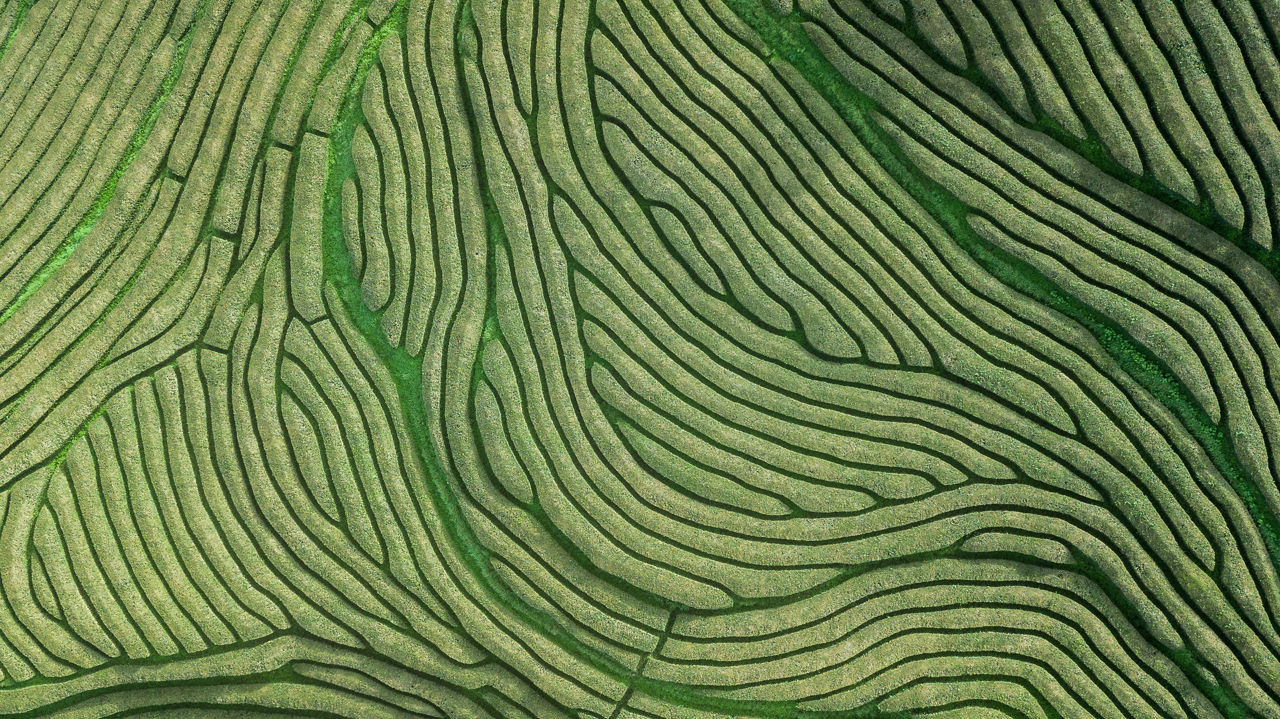 aerial view of terraced agricultural fields
