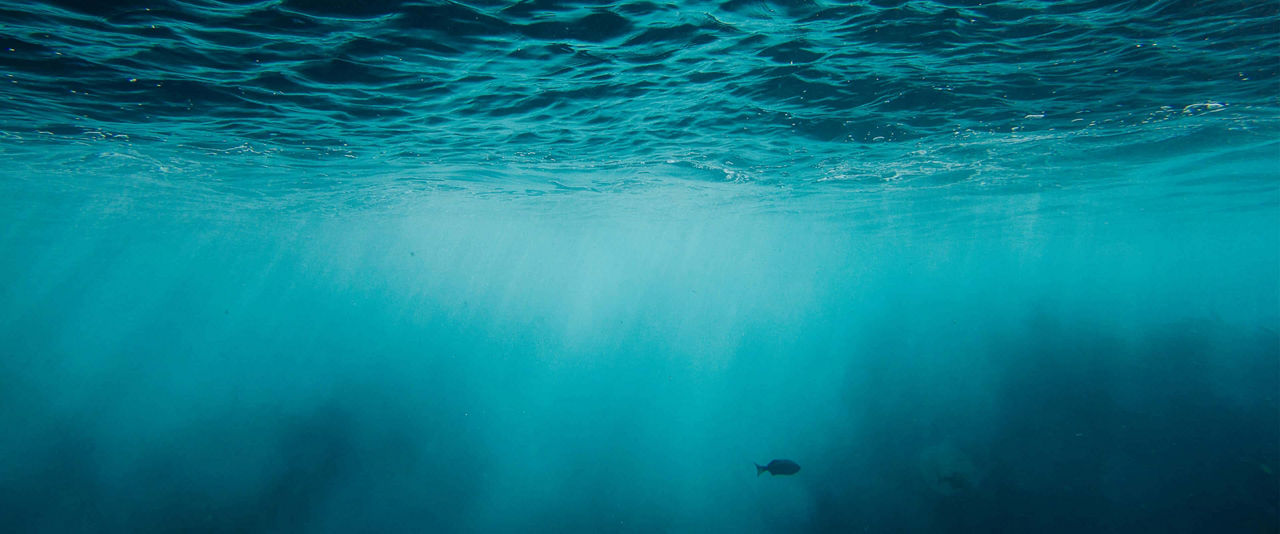Still Waters Run Deep