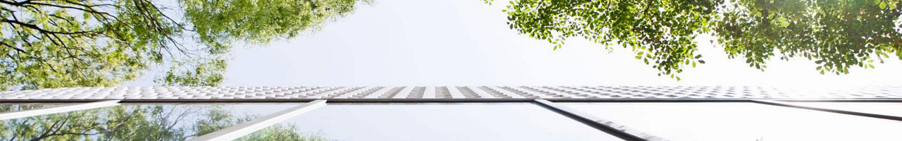 sustainability-valuation-case-study