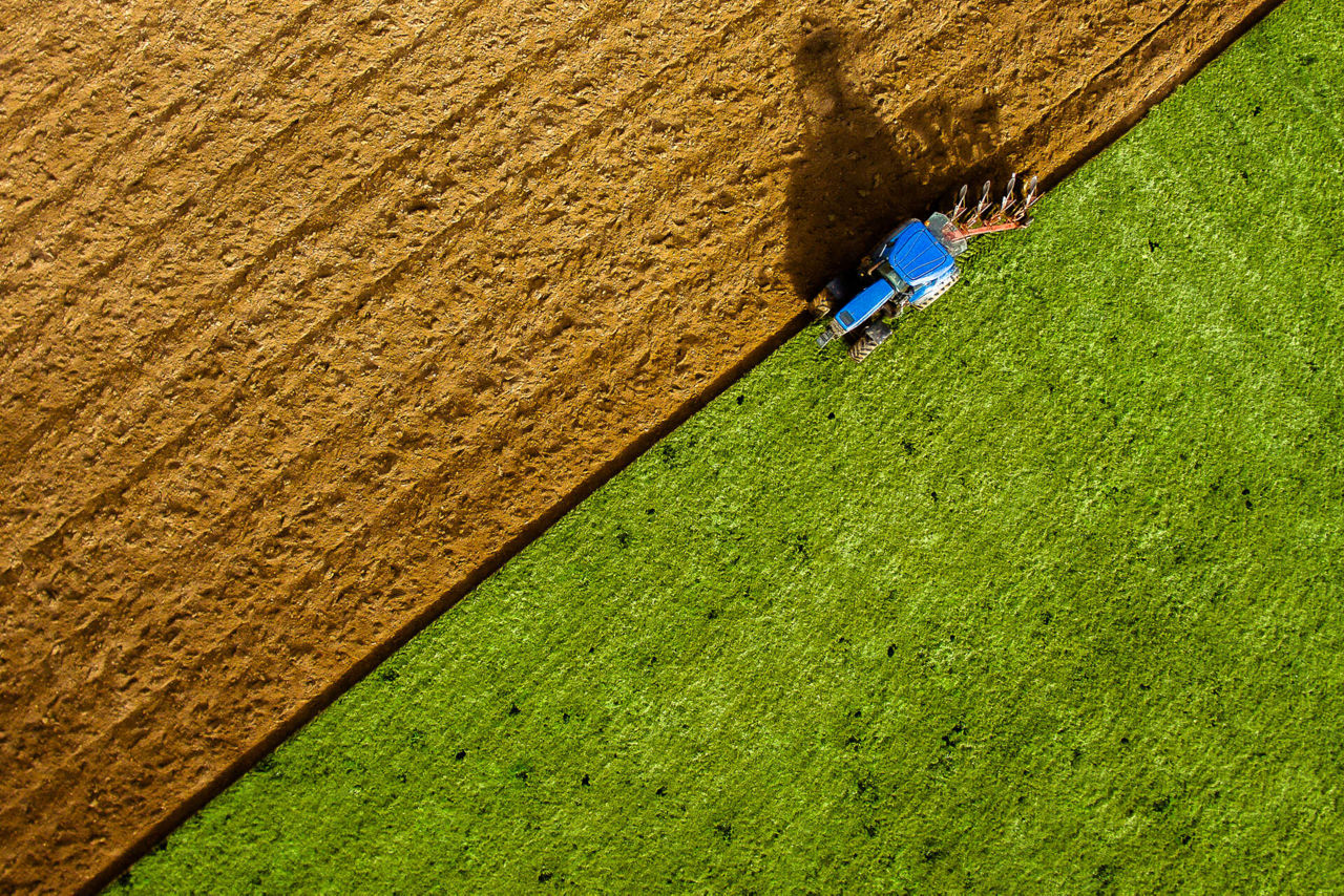 Fertilizers