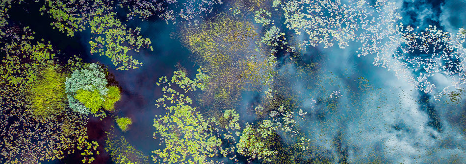 E-fuels: A Challenging Journey To A Low-Carbon Future