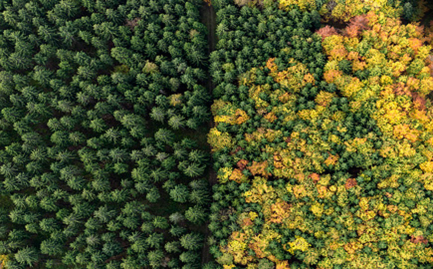 Lost GDP: Potential Impacts Of Physical Climate Risks